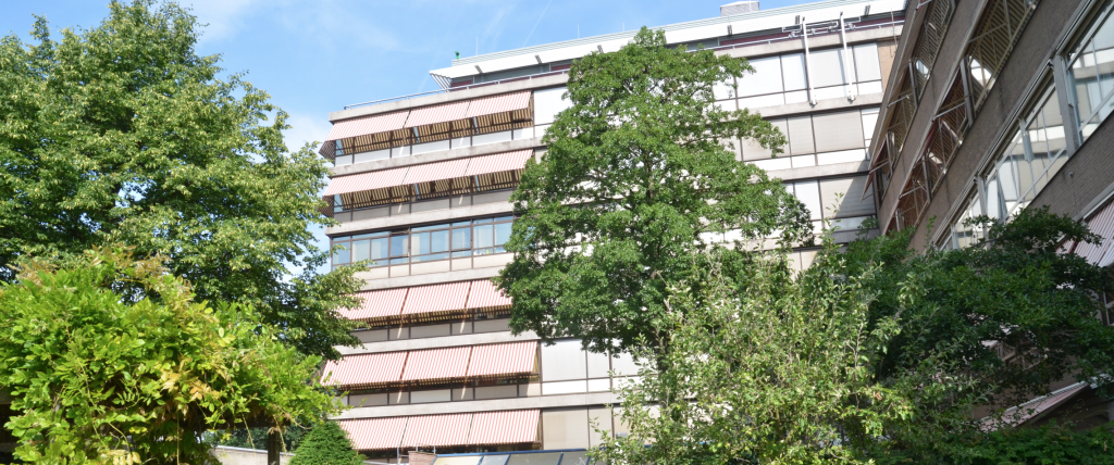 Nieuwe tijdelijke locatie voor de Brug